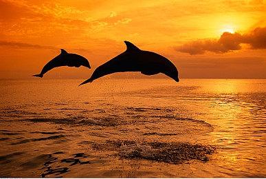 设计师自制虚幻5.1引擎《方舟2》新视频展示